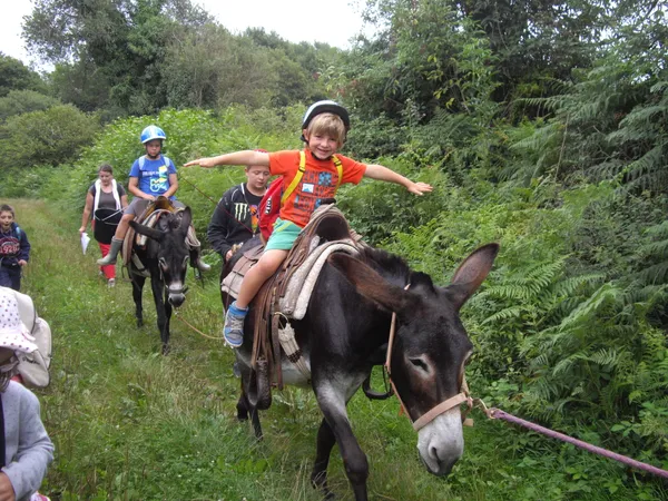 Journée pour les enfants, à la ferme Bibane