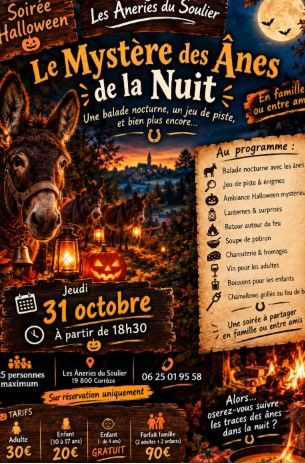 Le mystère des ânes de la nuit