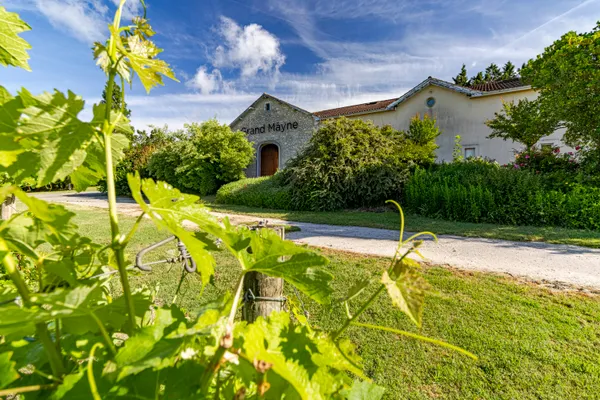 Ici, nos savoir-faire - Visite Domaine du Grand Mayne