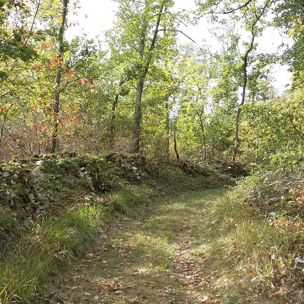 Randonnée douce