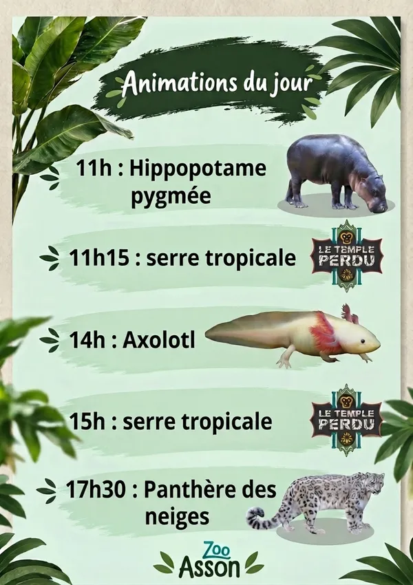 Animations Vacances d'Automne