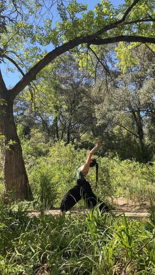 YOGA AU CŒUR DE LA FORÊT