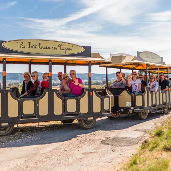 LE PETIT TRAIN DES VIGNES