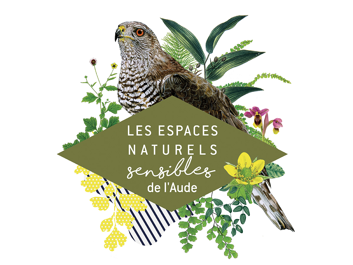 ENS - UN AN APRÈS FEU : COMMENT LA BIODIVERSITÉ SE RECONSTRUIT ?