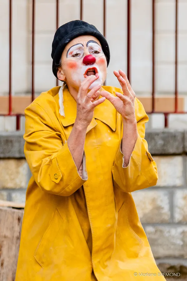 STAGE CLOWN ADULTES