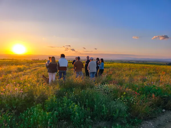 BALADE GOLDEN HOUR AU DOMAINE