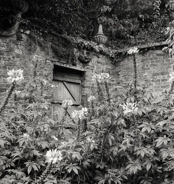 Exposition photographique "Secret Gardens" chez Livres Books & Co