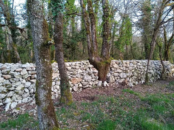 Chantier muret en pierres sèches