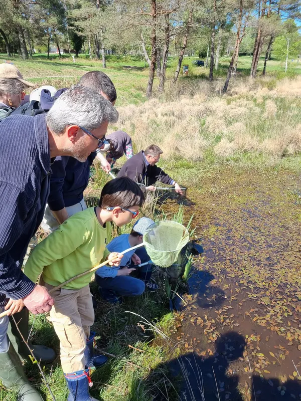 Ateliers-découverte : la petite faune de la rivière à Bretenoux