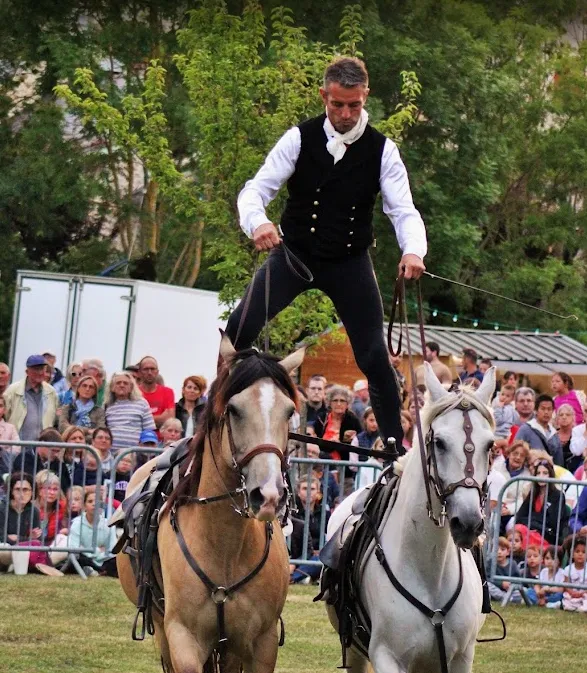 Grand spectacle équestre