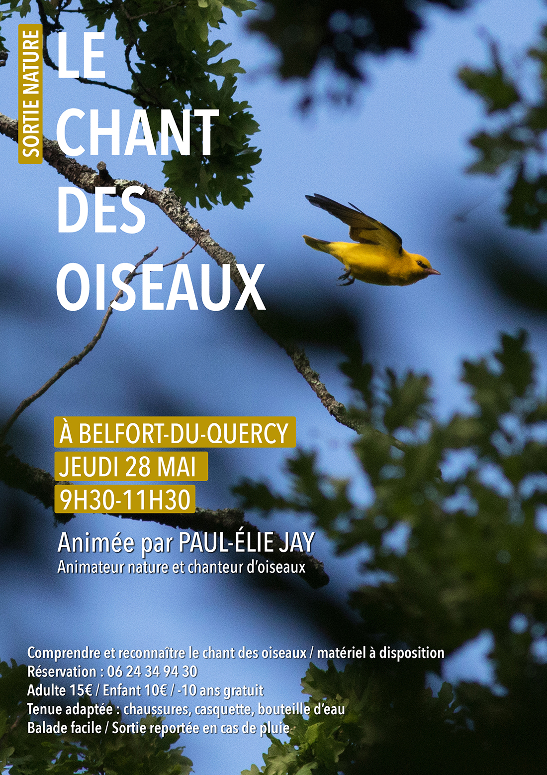 Sortie nature : Le chant des oiseaux à Belfort-du-Quercy