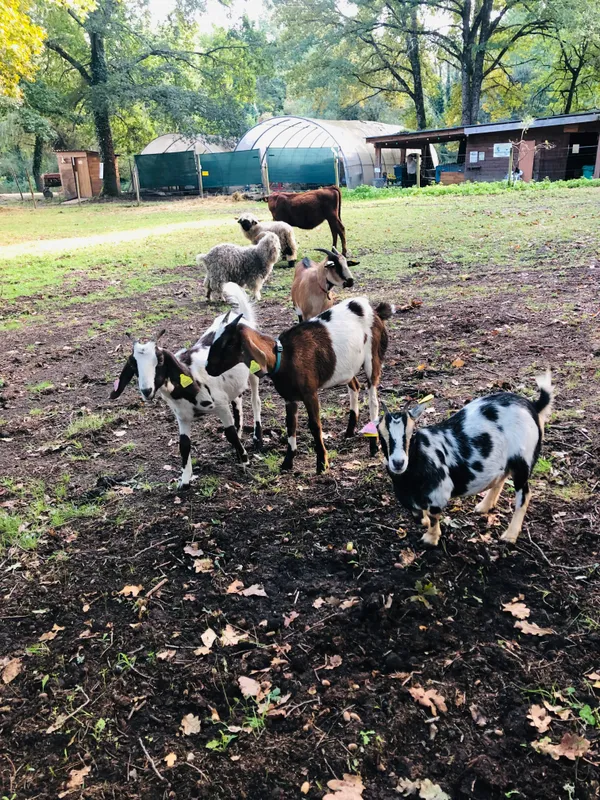 Pâques à la ferme