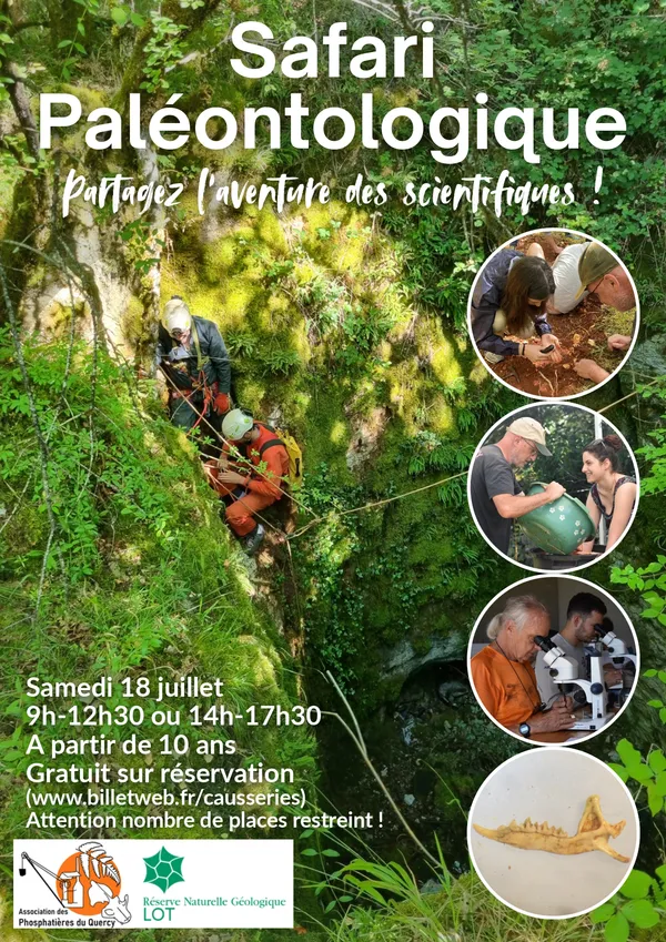 Safari paléontologique