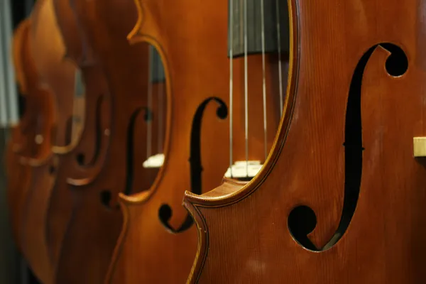 Festival :  L’envolée musicale "Quatuors PARISII»