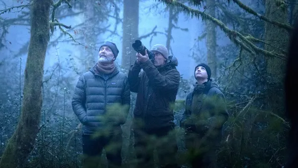 CINÉCO : LE CHANT DES FORÊTS