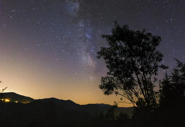 UN ÉTÉ AVEC LE PARC : LA TÊTE DANS LES ÉTOILES