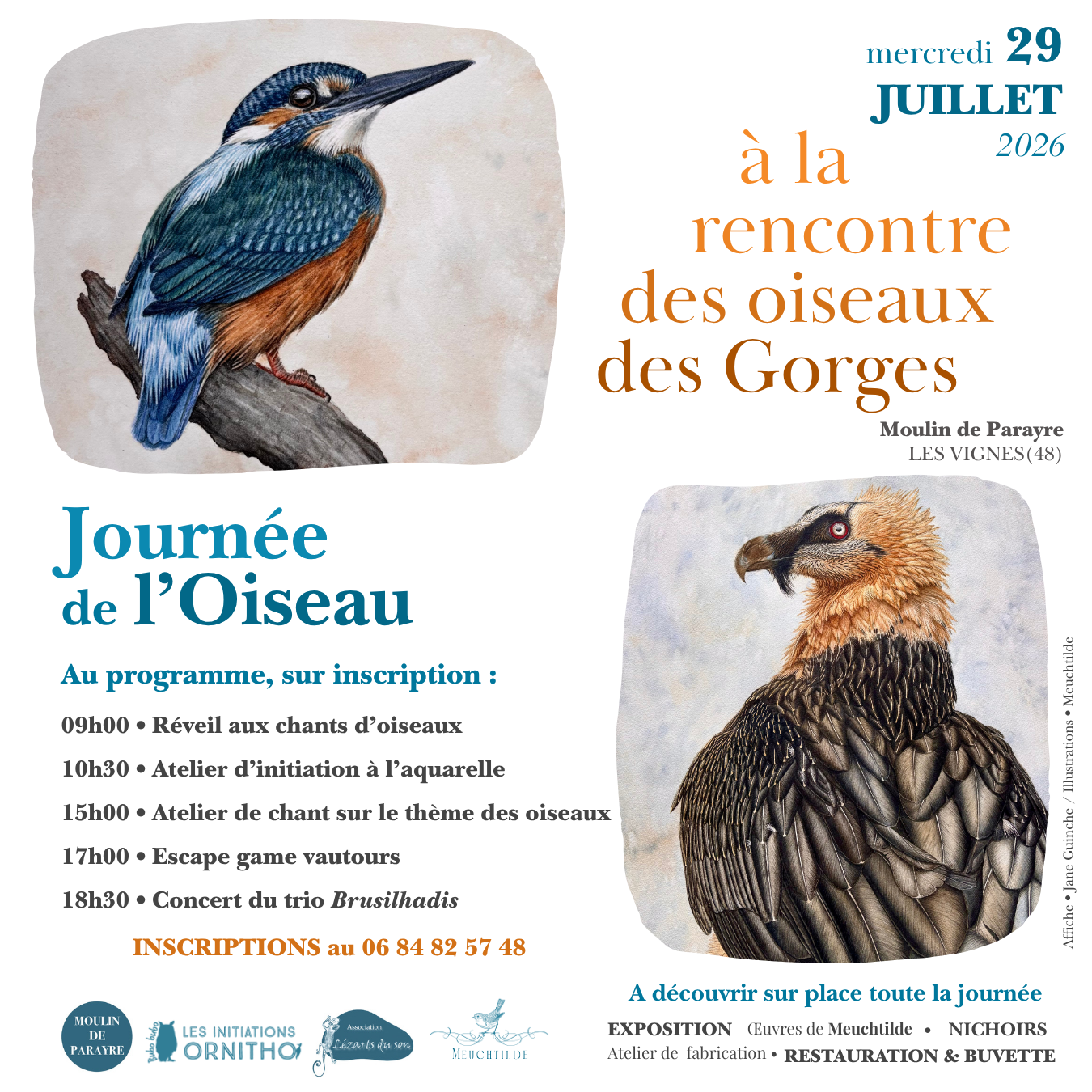 JOURNÉE DE L'OISEAU