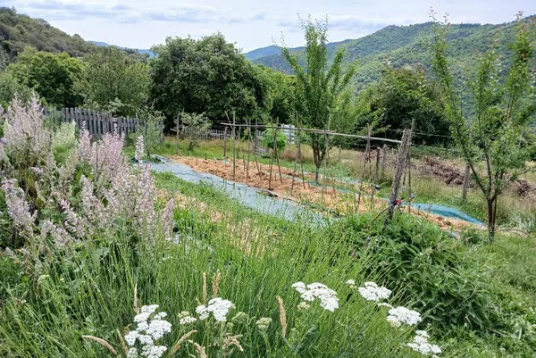 VISITE LES JARDINS DE BOUSSEGURES