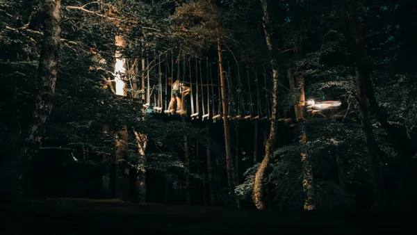 RONDIN PARC : ACCROBRANCHE NOCTURNE