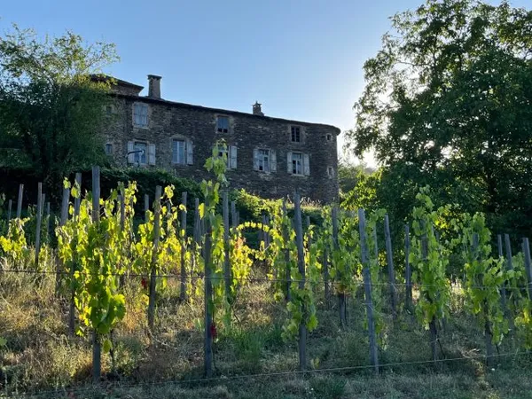BALADE GOURMANDE