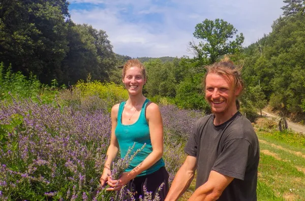 VISITES DE FERMES 2026: LES PLANTES DES CÉVENNES