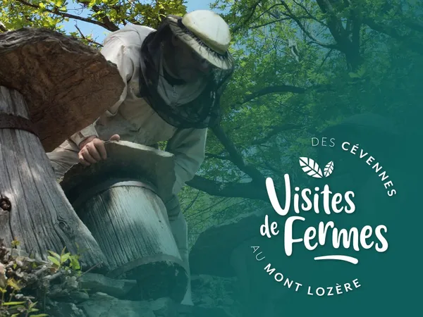 VISITES DE FERMES 2026 : L'ARBRE AUX ABEILLES