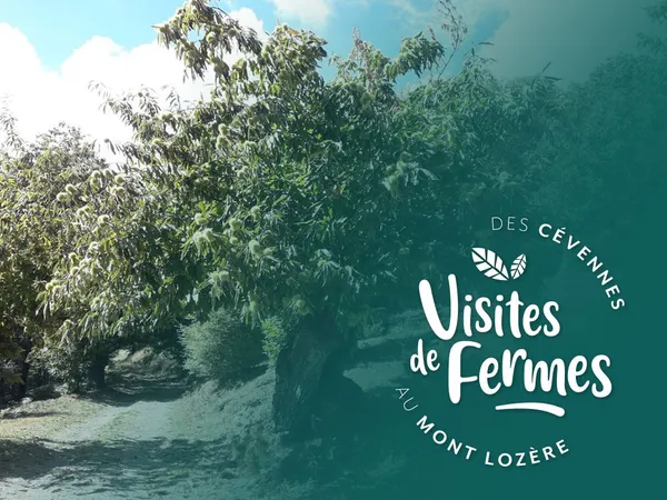VISITES DE FERMES 2026 : LES CHATAIGNERAIES DE MATTHIAS