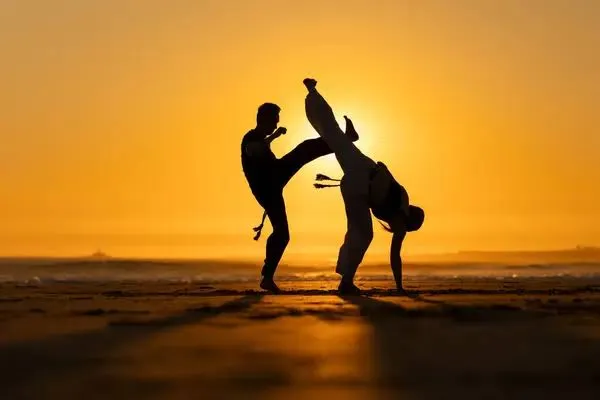 INITIATION À LA CAPOEIRA