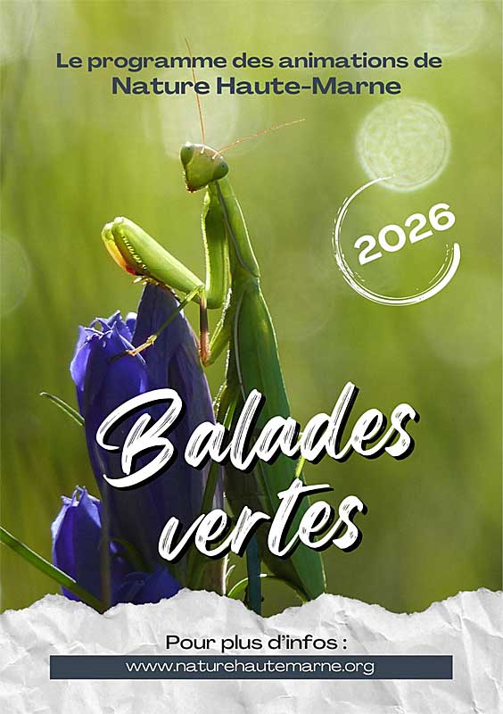 Balades Vertes en Haute-Marne : Une vie de Cincle !