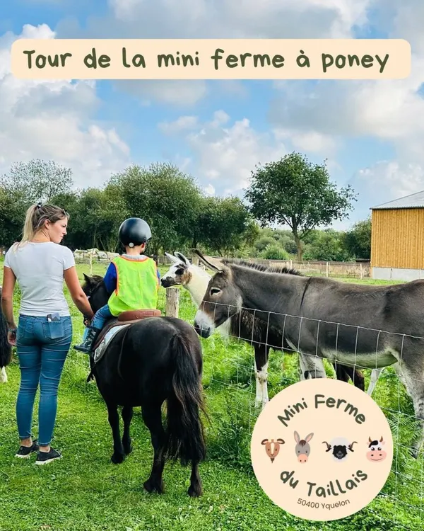Visite de la mini-ferme du Taillais à poney