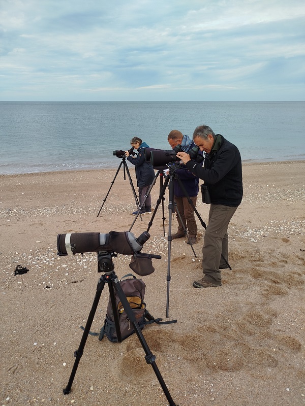 A la découverte des oiseaux de Gatteville-le-Phare