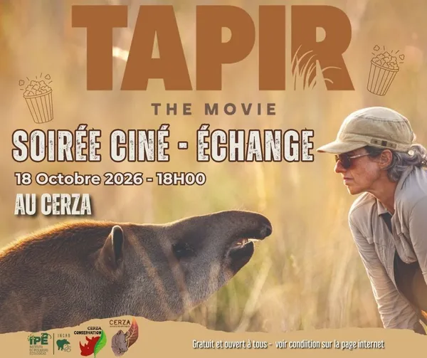 SOIRÉE CINÉ-ECHANGES