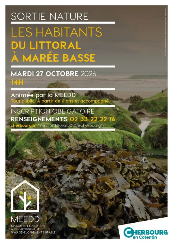 Sortie tout public : les habitants du littoral à marée basse