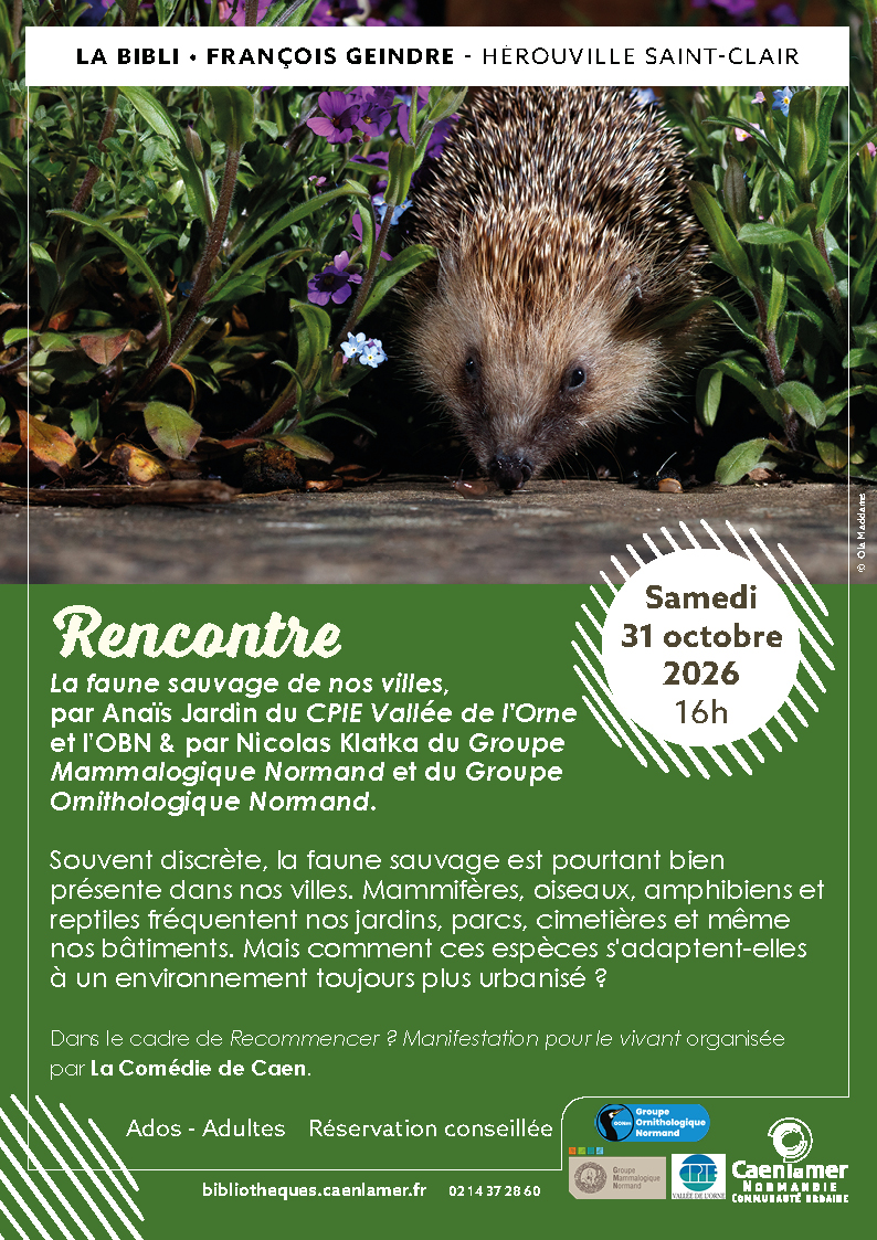Rencontre : La faune sauvage de nos villes