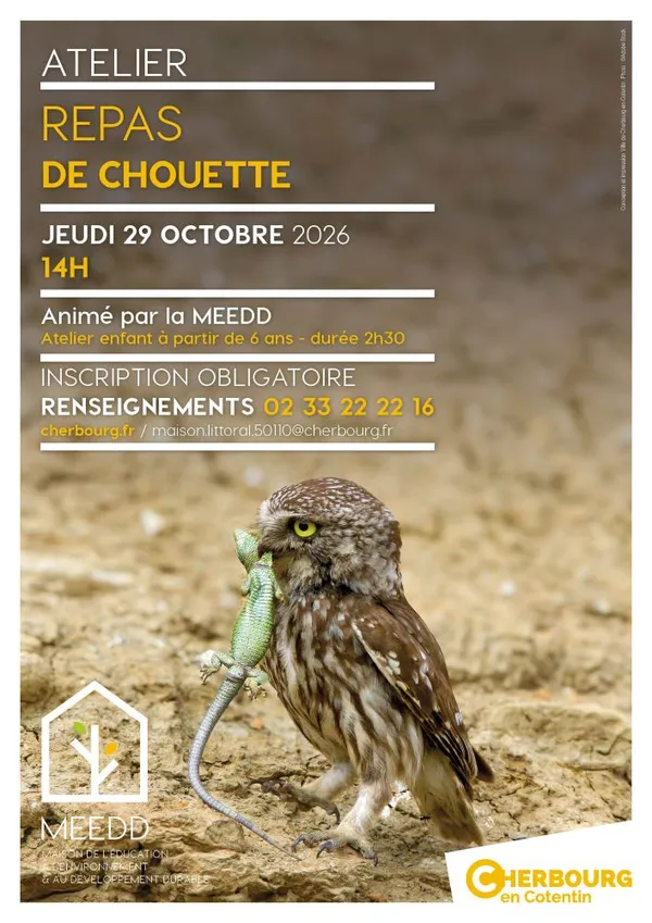Atelier enfant : repas de chouette