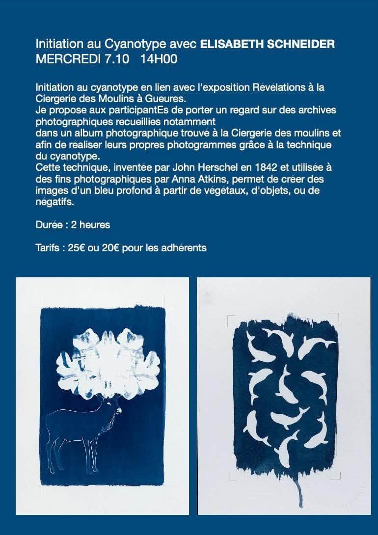 Atelier - Initiation au cyanotope