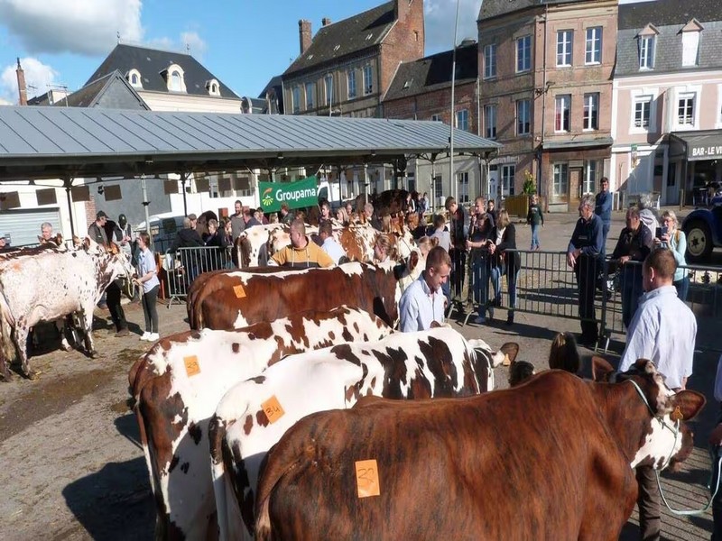 Comice intercantonnal agricole - Livarot