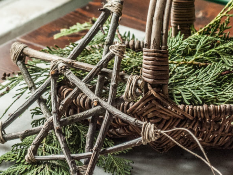 Sortie Nature : Décos de Noël Sauvages