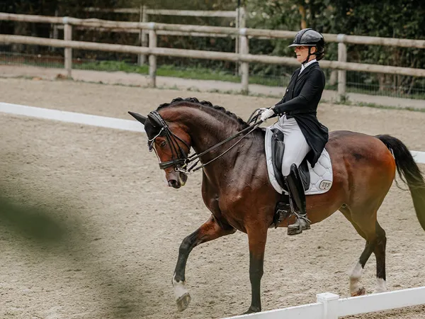 Concours de Dressage : 4e étape du Circuit Normandie Dressage