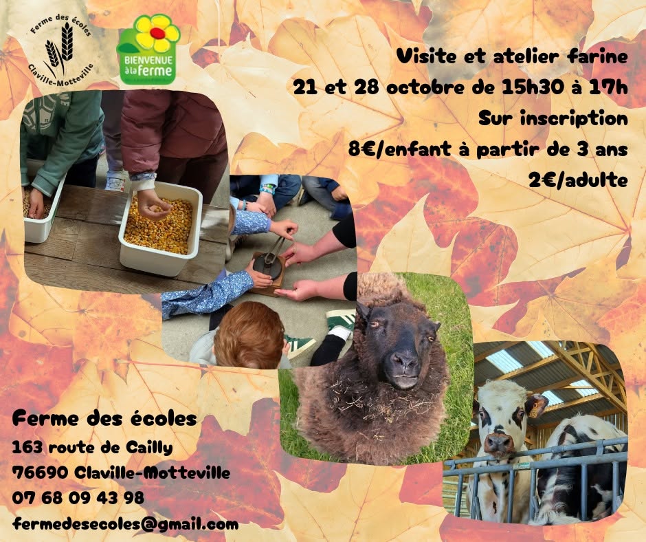 Atelier farine pour les enfants