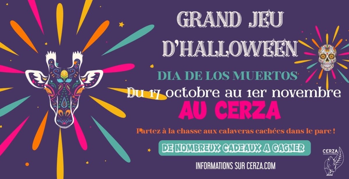 GRAND JEU D'HALLOWEEN AU CERZA