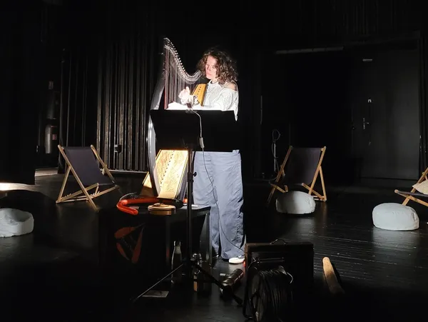 Conférence : les bienfaits du son de la harpe