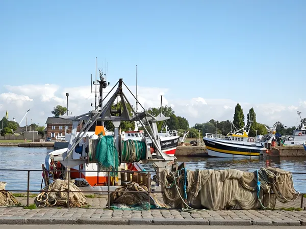 Fête de la Coquille et de la Pêche