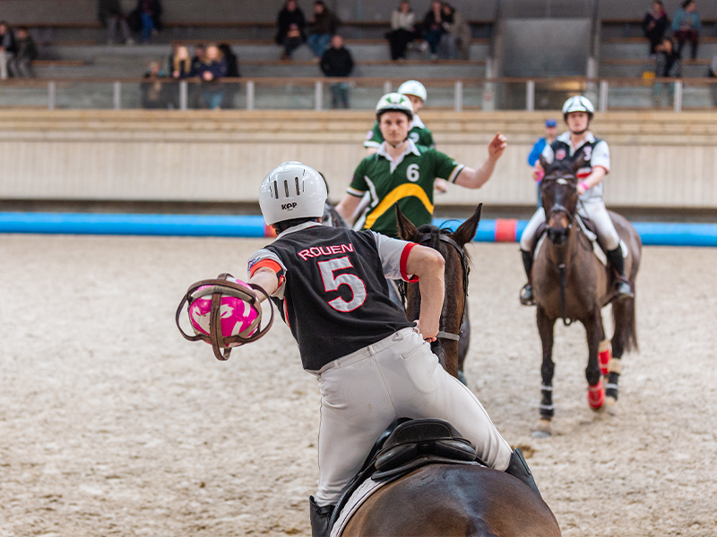 Tournoi de horse-ball pro