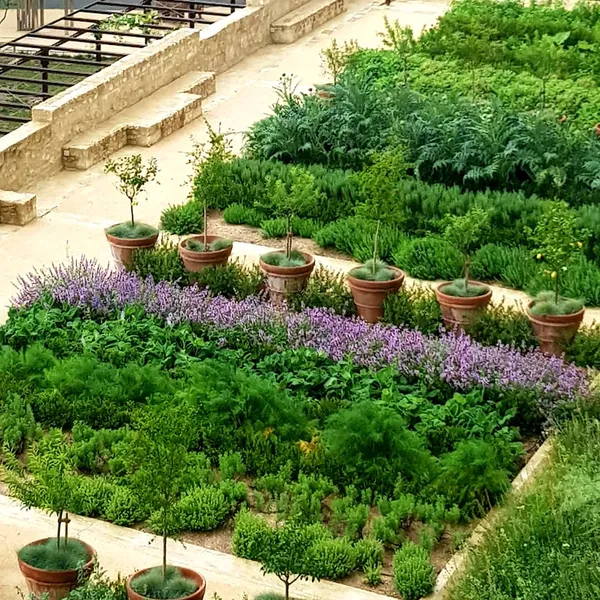 Conférences de l'Institut Européen des Jardins & Paysages