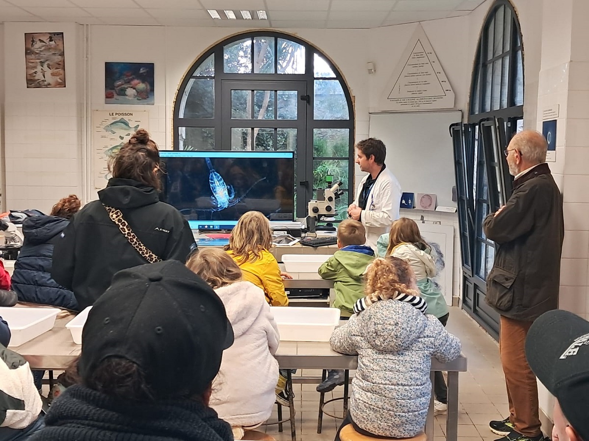 Atelier parent-enfant "Comme des détectives, partez à la recherche de monstres marins échappés du laboratoire de Tatihou !