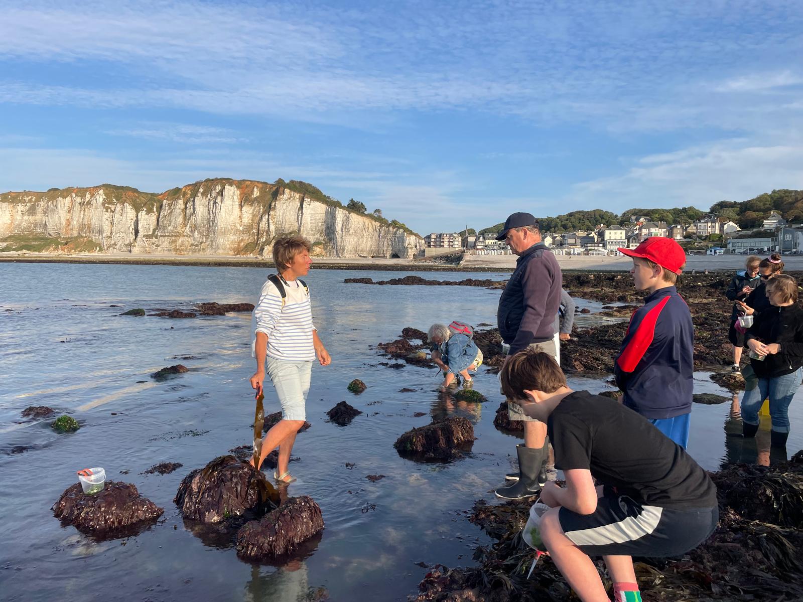 ATELIER - Découverte algues du littoral avec Alyferm