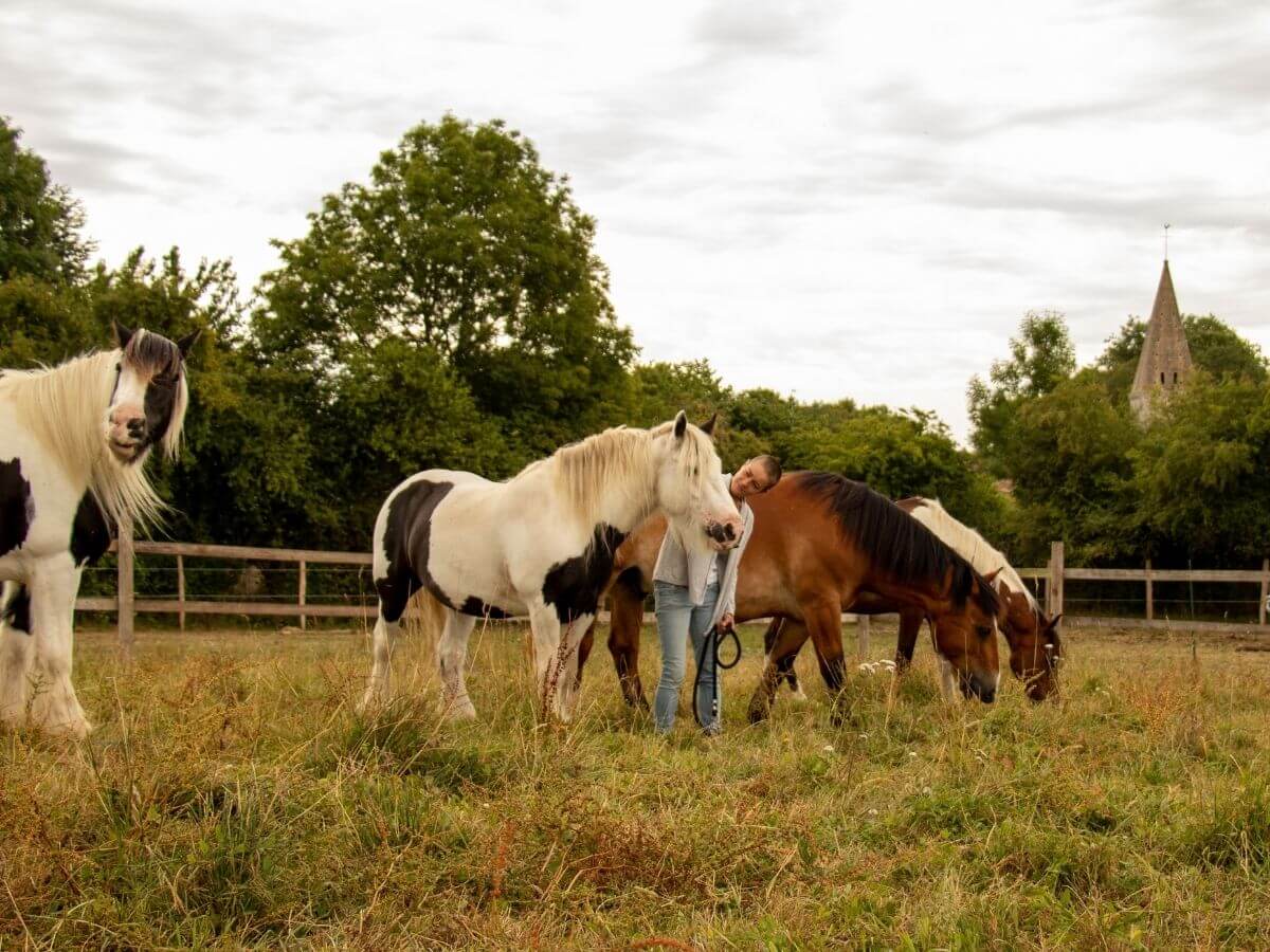 Equidays : Portes-ouvertes du C.A.Z et des écuries Arion Equithérapie