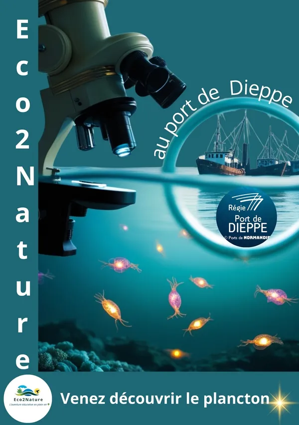 [Atelier] Découverte du plancton