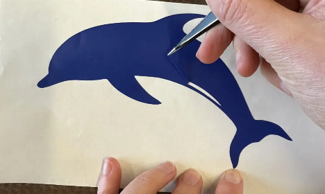 Fabrique à T-shirt : mammifères marins
